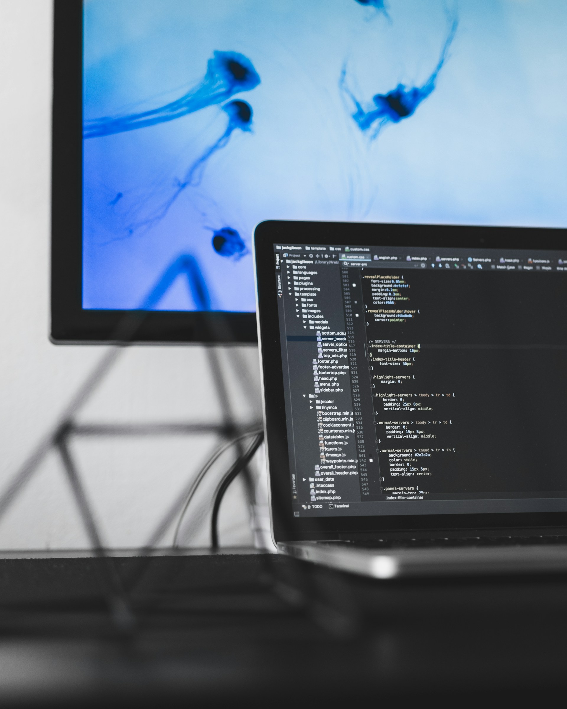 Programming